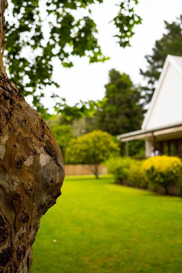 Bwhale Guest House B&B Knysna Exterior photo