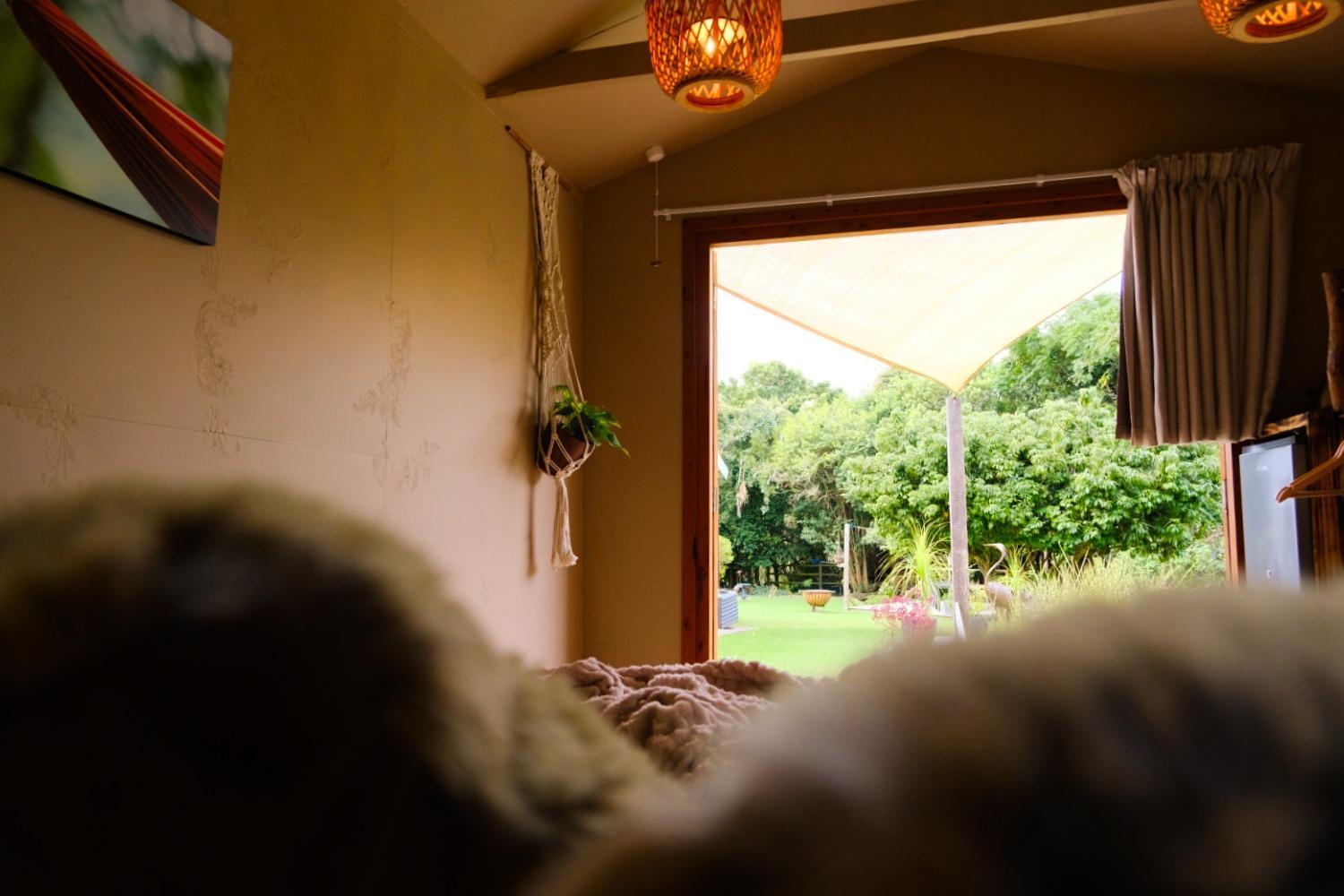 Bwhale Guest House B&B Knysna Exterior photo